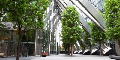trees-and-office-buildings-picture-id166006404